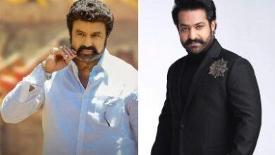 Balakrishna, Junior NTR pay tributes to NTR on death anniversary