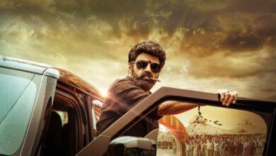 VeeraSimhaReddy