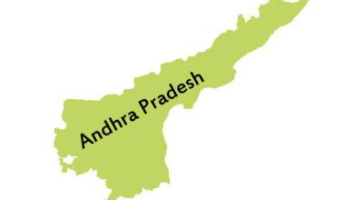 AP decides to demand Special Status in Southern Council meet on Nov 14