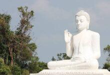 The birth of Gautama Buddha.. 'Buddha Purnima