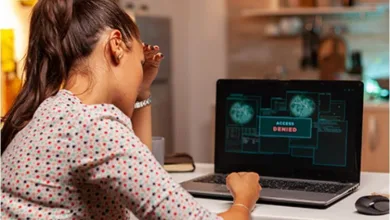 Work from home scams