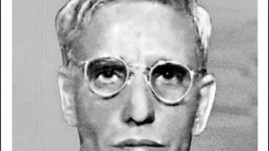 Pingali Nagendra Rao