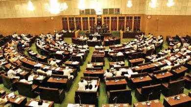 What is assembly meetings?