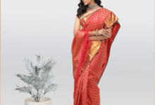 Sarees for the festivities