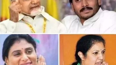 Two families - four parties