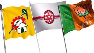Is it possible to win elections with alliances?