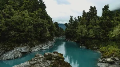 Discover-New-Zealands-Coastal-Gems