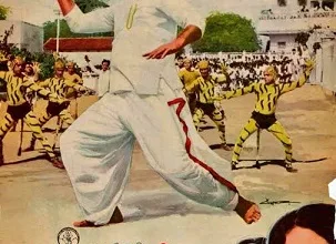 Reasons why color films were not widely available in Telugu in the early days.