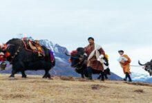 5 festivals to experience in the Land of the Thunder Dragon