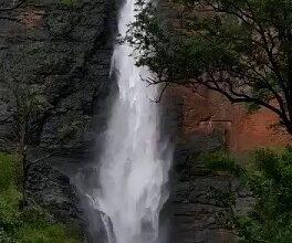 It is a secret waterfall in Telangana