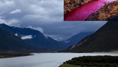 Do you know about 'Brahmaputra' river..