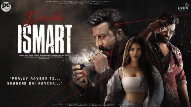 DoubleSmart Review.. How is it..