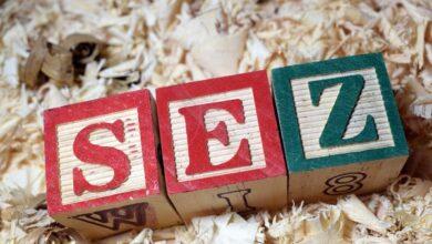 The steps taken by our Special Economic Zones (SEZ) in achieving the target?