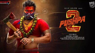 Pushpa2: The Rule.. Do you know these features..!