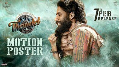"Tandel Movie Review"