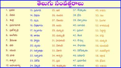 The names of the Telugu years