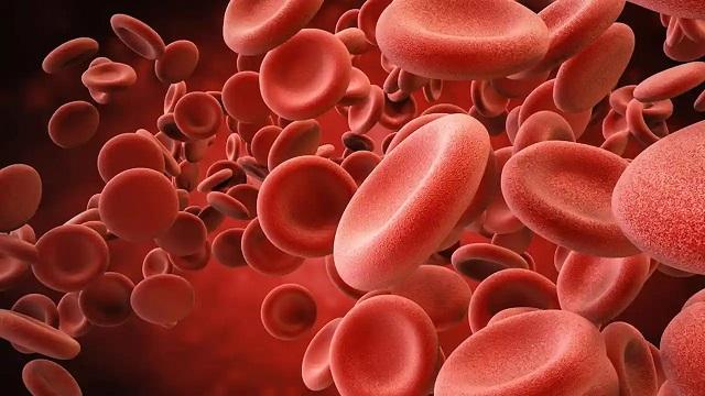 Royal Disease - Hemophilia Awareness