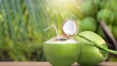 They should never drink coconut water..!