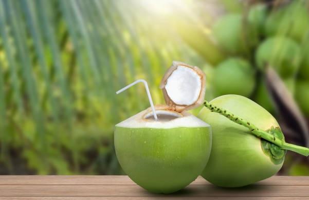 They should never drink coconut water..!