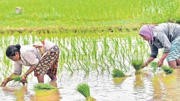The assistance provided by the central government to the agriculture sector amid challenges.