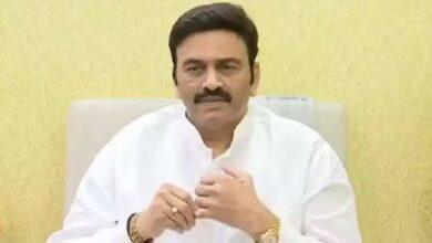Deputy Speaker Raghurama Krishnam Raju's key comments on Jagan..