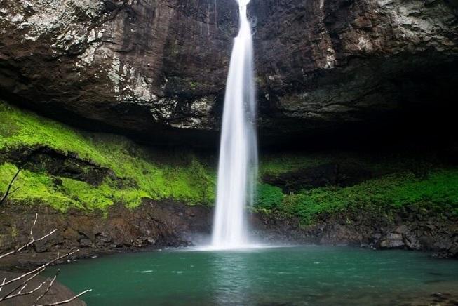 Just like that, into the lap of nature.!
