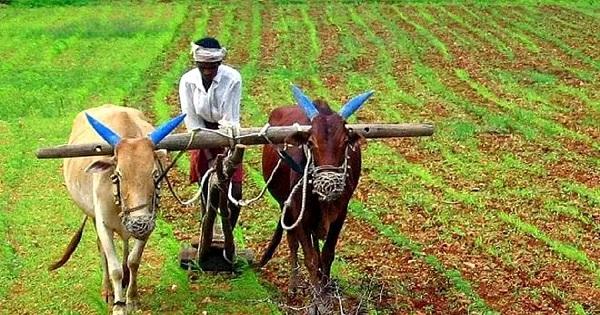 Today is Eruvaka Pournami..!