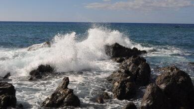 Roar of the ocean: Let's protect what gives us breath!