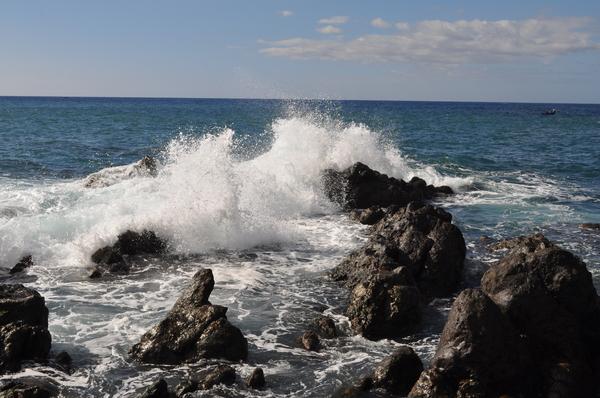Roar of the ocean: Let's protect what gives us breath!