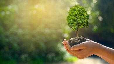World Environment Day 2025