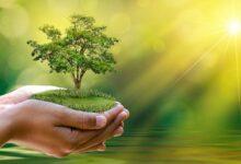 The only way for the survival of living beings is environmental protection.