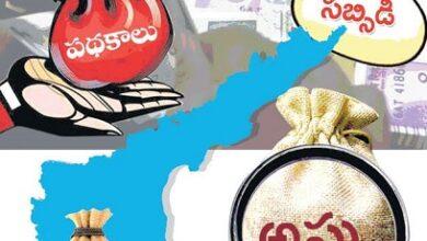 Reckless implementation of free schemes... they will become nooses around our necks