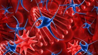 First of all... these are the symptoms of blood cancer