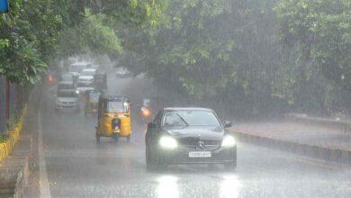 Don't eat these during the rainy season!