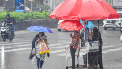 Alert in Telangana in view of heavy rains forecast for two days
