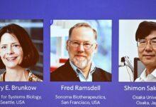 Nobel laureates who discovered regulatory cells of the immune system