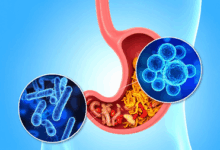 New antibiotic to curb dangerous gut bacterium with a low dose