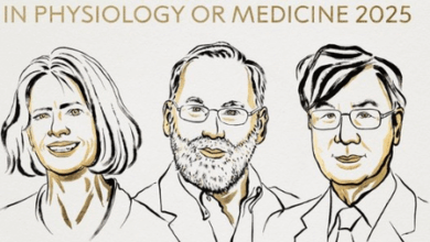 US, Japanese scientists awarded 2025 Nobel Prize for Medicine for discovery on immune system