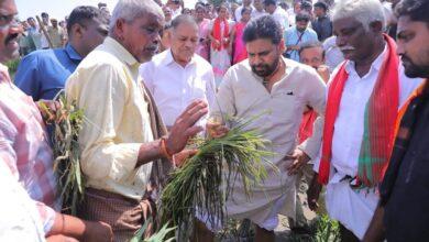 We will support the farmers affected by the Montha cyclone: Pawan Kalyan.