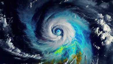 Cyclone 'Ditwah'