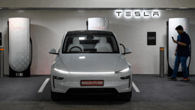 Tesla sells 48 cars in November, 157 units so far in India