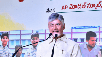 Andhra Pradesh will be developed as role model in education: CM Naidu