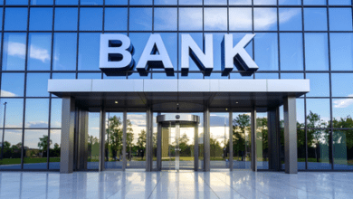 DFS interventions help improve financial health of Indian banking sector: Govt