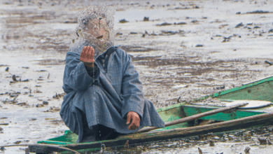 Dal Lake freezes in parts, night temperature remains several notches below zero in Kashmir Valley