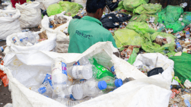 Plastics emissions to double health risks worldwide by 2040