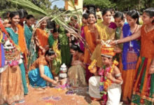 Sankranti has arrived, O little bumblebee!
