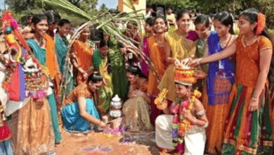Sankranti has arrived, O little bumblebee!