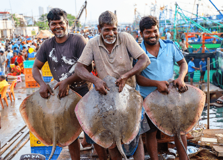 seafood exports