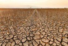 Drought, a national disaster that has turned into a challenge to the country’s development.