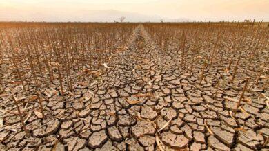 Drought, a national disaster that has turned into a challenge to the country’s development.
